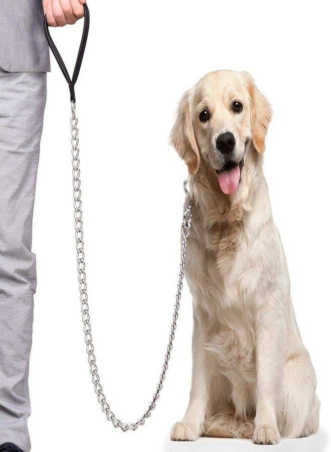 PETLICIOUS & MORE طوق كلاب متين من بيتليشوس آند مور، طوق كلاب معدني بسلسلة ومقبض للكلاب الصغيرة والمتوسطة الحجم (المقاس - متوسط، أسود) - Image 2
